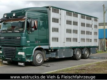 Камион за добиток DAF XF105/410 Spacecup Menke 4 Stock: слика 1