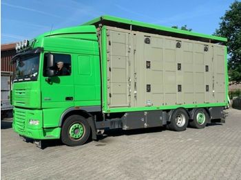 Камион за добиток DAF  XF 105/460 SC Menke 3 Stock Hubdach: слика 1