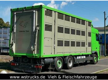 Камион за добиток DAF  XF 105/460 SC Menke 3 Stock Hubdach: слика 1
