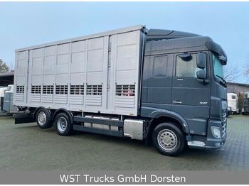 Камион за добиток DAF XF 480 "Neu"  Menke 3 Stock Hubdach: слика 1