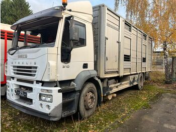 Камион за добиток Iveco Stralis 310 Zweistock  Fahrerhaus beschädigt: слика 1