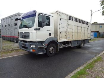Камион за добиток MAN 15.280 LL TGM  Menke Einstock: слика 1