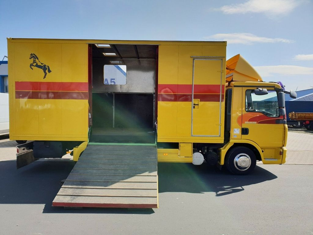 Камион за коњи MAN TGL 10.180 Euro 4  Pferdetransporter Horse: слика 11
