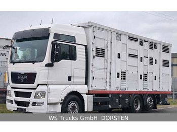 MAN TGX 26.440 FG 6x2  Menke Janzen 3 Stock  - Камион за добиток: слика 1