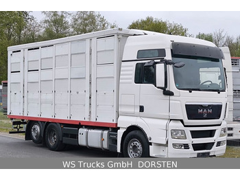 MAN TGX 26.440 FG 6x2  Menke Janzen 3 Stock  - Камион за добиток: слика 2