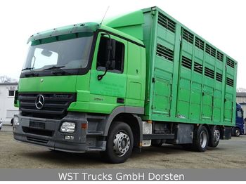 Камион за добиток Mercedes-Benz Actros  2541 Menke 3 Stock Vollalu: слика 1