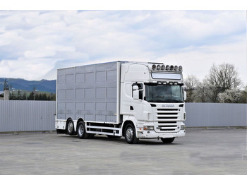 Камион за добиток Scania R 500 TIERTRANSPORTWAGEN 7,10m / 4STOCK: слика 2