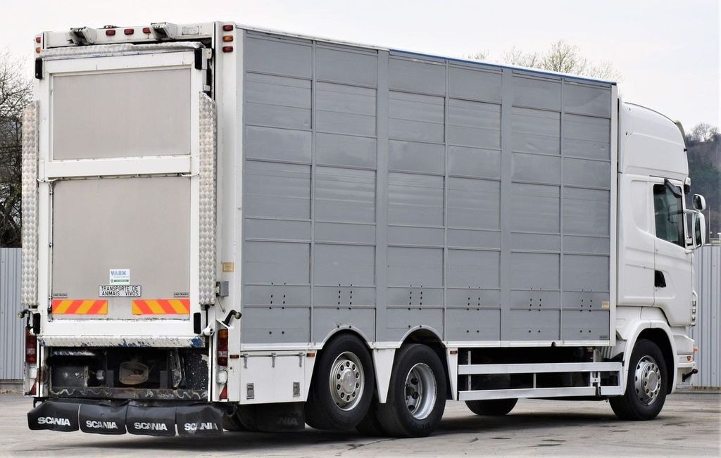 Камион за добиток Scania R 500 TIERTRANSPORTWAGEN 7,10m / 4STOCK: слика 5