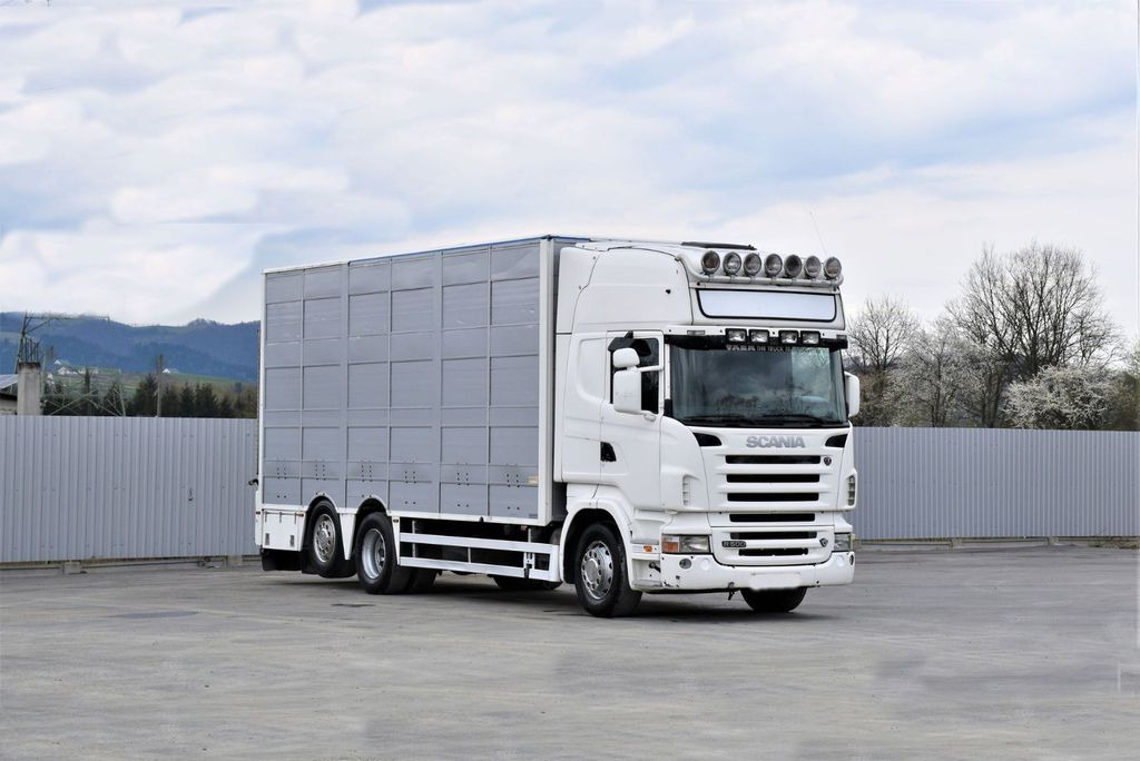 Камион за добиток Scania R 500 TIERTRANSPORTWAGEN 7,10m / 4STOCK: слика 2