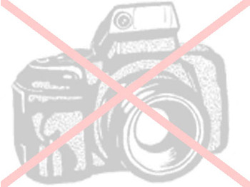 Veldhuizen P 31 4D - Полуприколка платформа