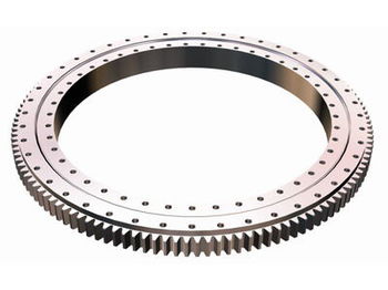 New DEMAG AC95 for mobile crane - Движечки прстен