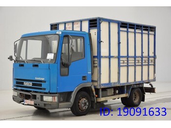 Камион за добиток IVECO