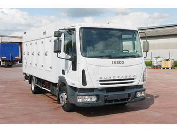 Камион ладилник IVECO EuroCargo