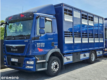 Камион за добиток MAN TGM 15.250
