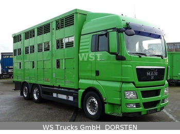 Камион за добиток MAN TGX 26.480