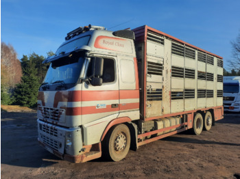 Камион за добиток VOLVO FH12