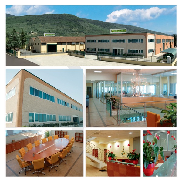 Ciancaleoni Srl - Возила за продажба undefined: слика 1