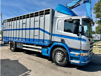 Камион за добиток SCANIA P 310