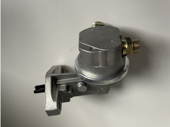 : фотографија на заглавието