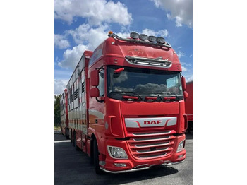 Камион за добиток DAF XF 530