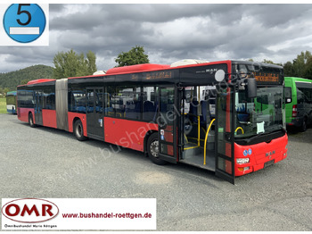 Зглобен автобус MAN Lion's City A23