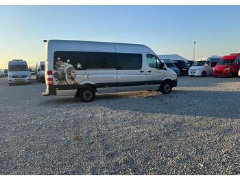 Минибус, Патничко комбе Mercedes-Benz Sprinter: слика 3