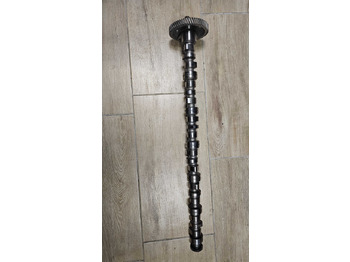 : фотографија на заглавието