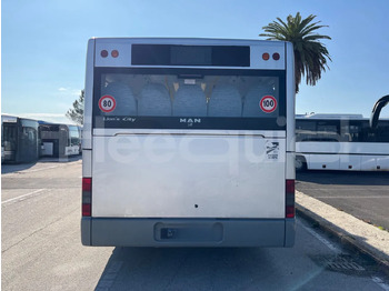 Лизинг на  Man Lion's Classic Man Lion's Classic: слика 5