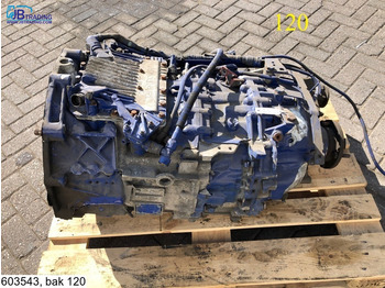Менувач ZF