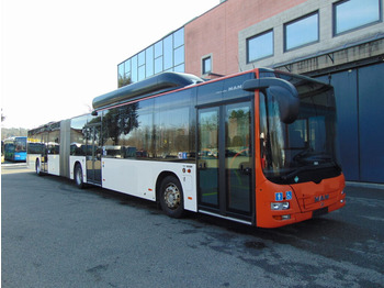 Зглобен автобус MAN Lion's City