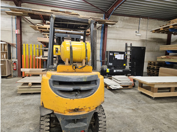 Плински вилушкар Chariot élévateur frontal au gaz Jungheirich TFG 25BK: слика 2 Плински вилушкар Chariot élévateur frontal au gaz Jungheirich TFG 25BK: слика 2