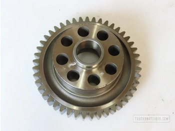 Коленесто вратило MAN