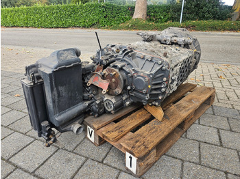 Менувач ZF