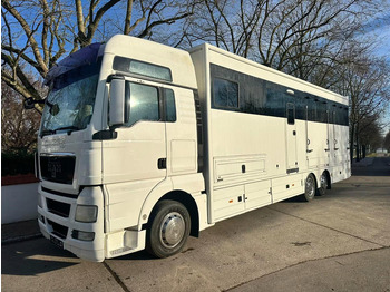 Камион за коњи MAN TGX 26.440