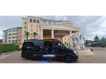 Минибус MERCEDES-BENZ Sprinter 319