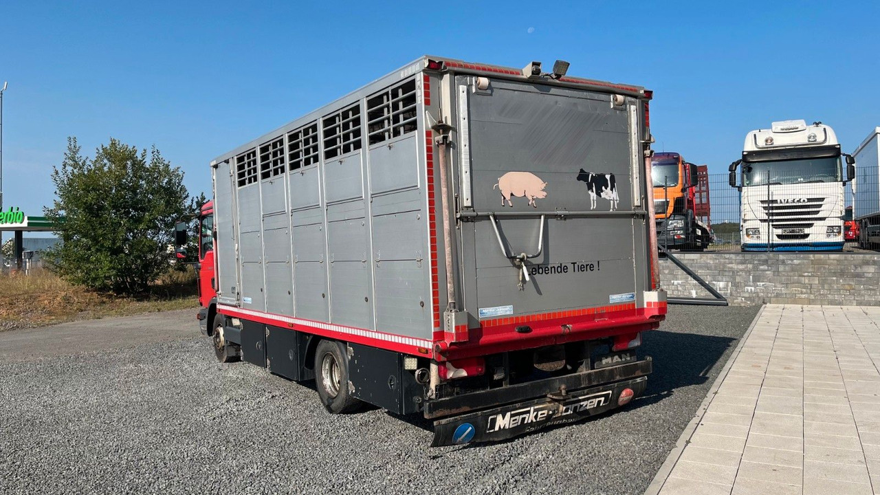 MAN TGL 10.220 Viehtransporter Rampe Trennwände - Камион за коњи: слика 5 MAN TGL 10.220 Viehtransporter Rampe Trennwände - Камион за коњи: слика 5
