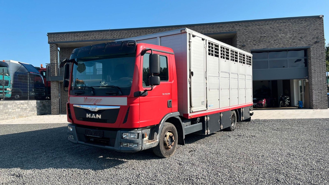 MAN TGL 10.220 Viehtransporter Rampe Trennwände - Камион за коњи: слика 2 MAN TGL 10.220 Viehtransporter Rampe Trennwände - Камион за коњи: слика 2