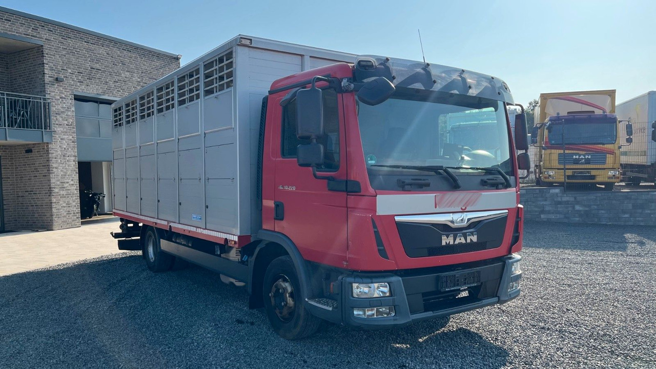 MAN TGL 10.220 Viehtransporter Rampe Trennwände - Камион за коњи: слика 3 MAN TGL 10.220 Viehtransporter Rampe Trennwände - Камион за коњи: слика 3