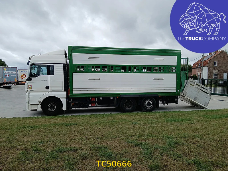 MAN TGX 460 - Камион за добиток: слика 2 MAN TGX 460 - Камион за добиток: слика 2
