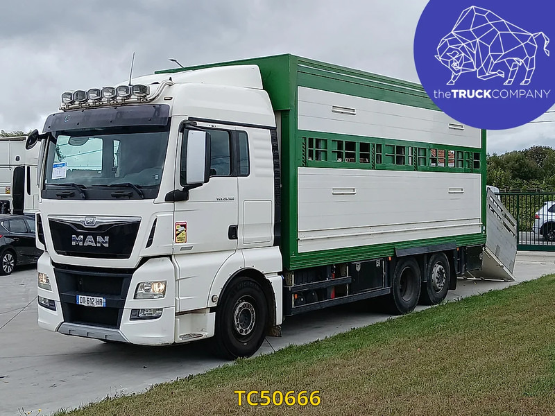 MAN TGX 460 - Камион за добиток: слика 1 MAN TGX 460 - Камион за добиток: слика 1