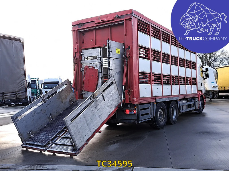 Scania R 500 - Камион за добиток: слика 4 Scania R 500 - Камион за добиток: слика 4