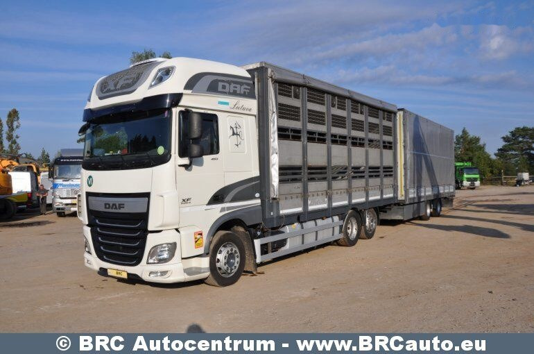 DAF DAF XF XF - Камион со церада: слика 1 DAF DAF XF XF - Камион со церада: слика 1