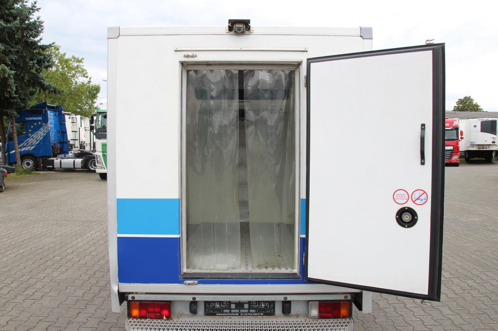 Лизинг на Fiat Scudo Thermo King V-500Max Tiefkühl Strom FRCX Fiat Scudo Thermo King V-500Max Tiefkühl Strom FRCX: слика 12