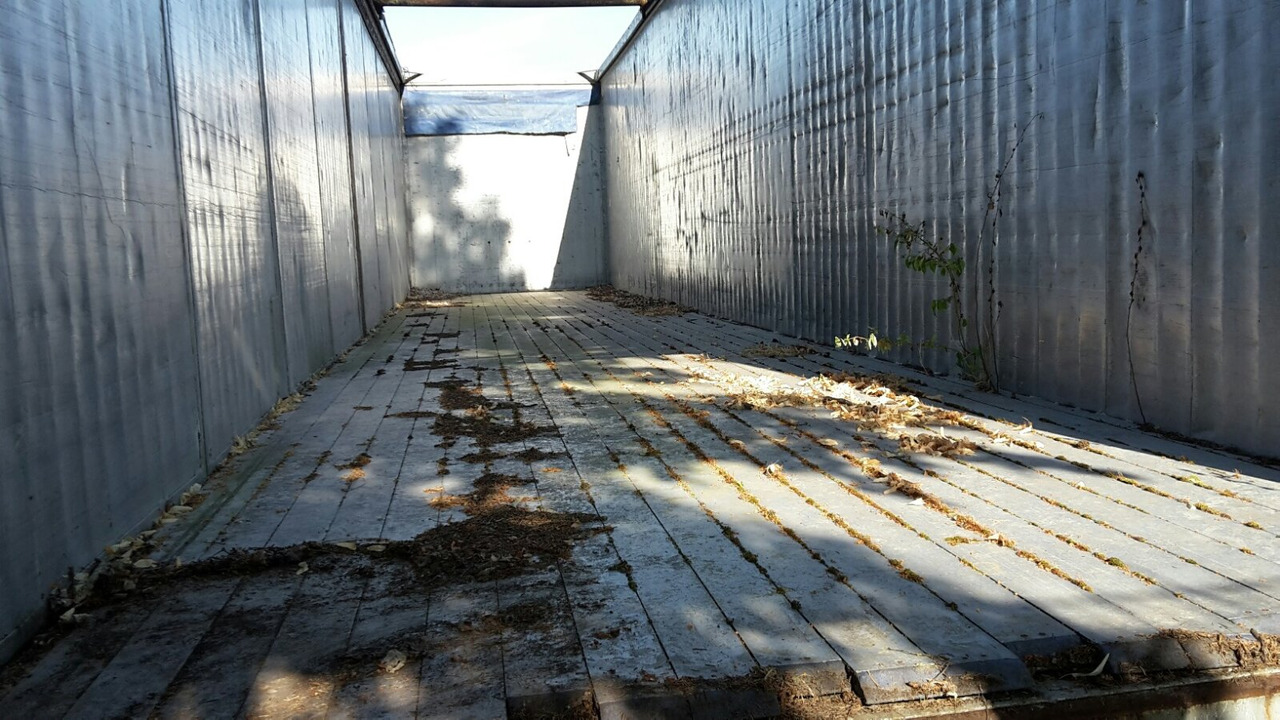 Reisch RSBS-35/24 PV RSBS-35/24 PV Walkingfloor ca. 86m³, Alu - Полуприколка со подвижен под за истовар: слика 2 Reisch RSBS-35/24 PV RSBS-35/24 PV Walkingfloor ca. 86m³, Alu - Полуприколка со подвижен под за истовар: слика 2