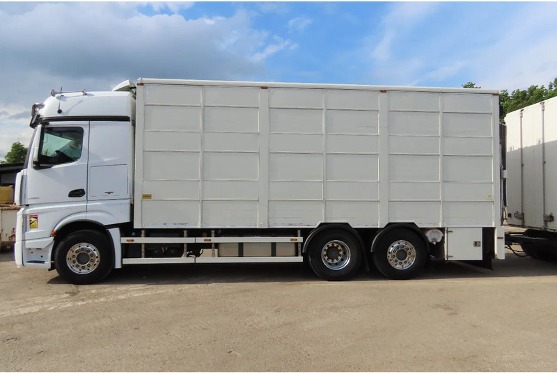 Mercedes-Benz Actros 2551 BERDEX 3 decks, All options + Berdex 12/ 2007 - Камион за добиток: слика 4 Mercedes-Benz Actros 2551 BERDEX 3 decks, All options + Berdex 12/ 2007 - Камион за добиток: слика 4