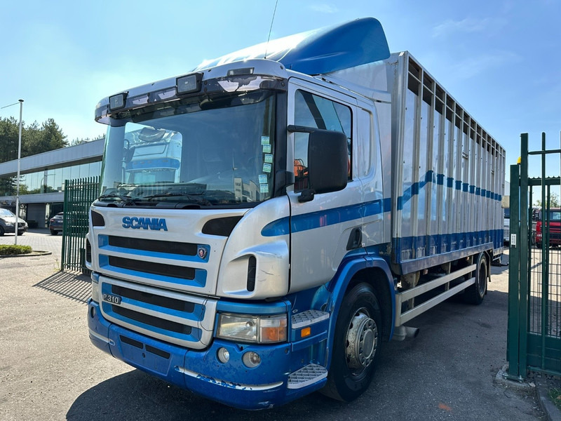 Scania P310 4x2 LIVESTOCK / VEEWAGEN / TIERTRANSPORT / BETAILLERE - ALU BOX 7m - MANUAL - A/C - BELGIAN TRUCK - Камион за добиток: слика 3 Scania P310 4x2 LIVESTOCK / VEEWAGEN / TIERTRANSPORT / BETAILLERE - ALU BOX 7m - MANUAL - A/C - BELGIAN TRUCK - Камион за добиток: слика 3
