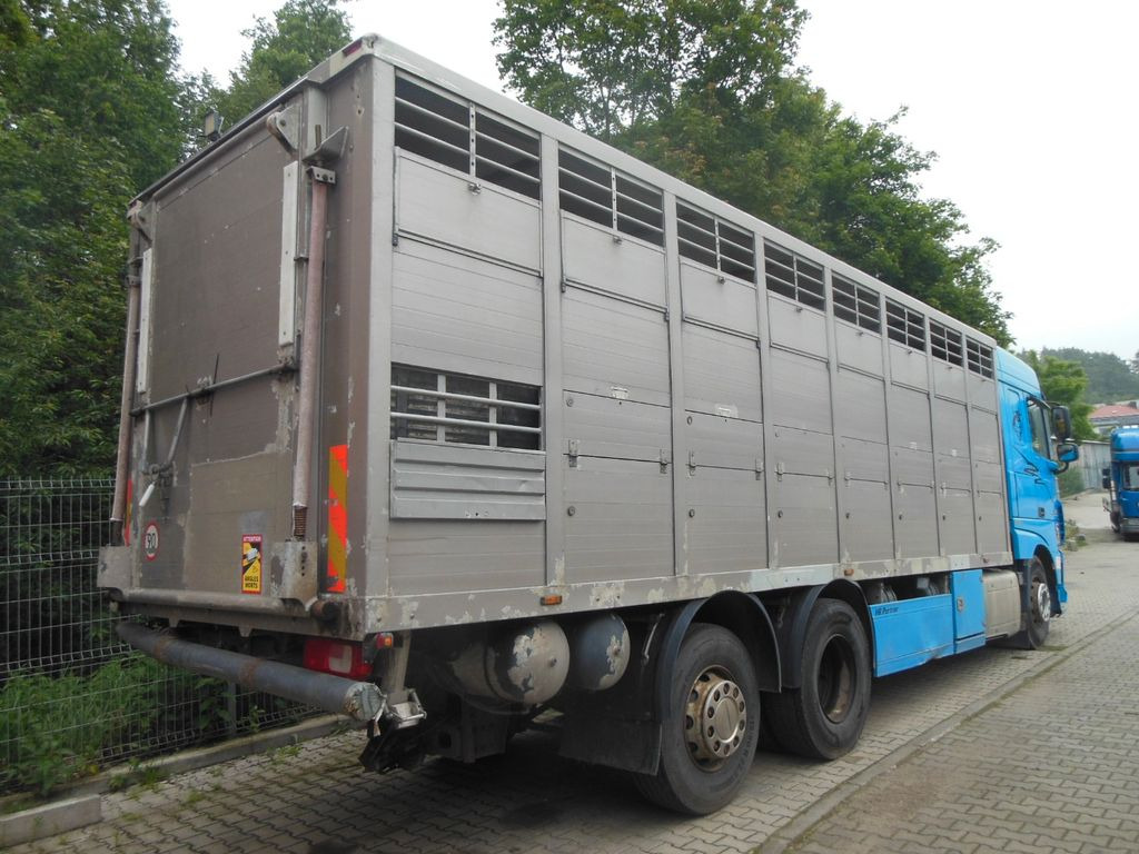 DAF XF 106.460, MENKE-JANZEN, UNFALL-FAHRBAR!! - Камион за добиток: слика 3 DAF XF 106.460, MENKE-JANZEN, UNFALL-FAHRBAR!! - Камион за добиток: слика 3