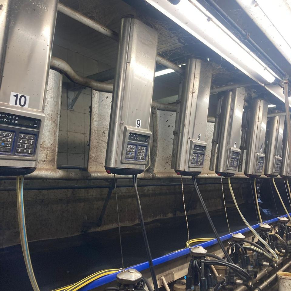 DeLaval Fischgrätenmelkstand Doppel 10er - Опрема за молзење: слика 1 DeLaval Fischgrätenmelkstand Doppel 10er - Опрема за молзење: слика 1