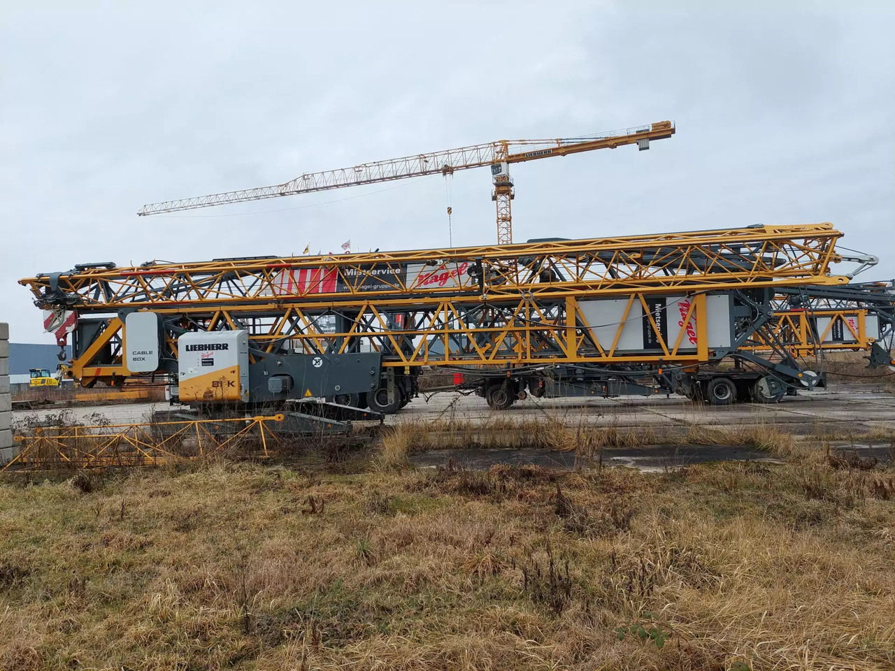2011 Liebherr 81K - Кулски кран: слика 1 2011 Liebherr 81K - Кулски кран: слика 1