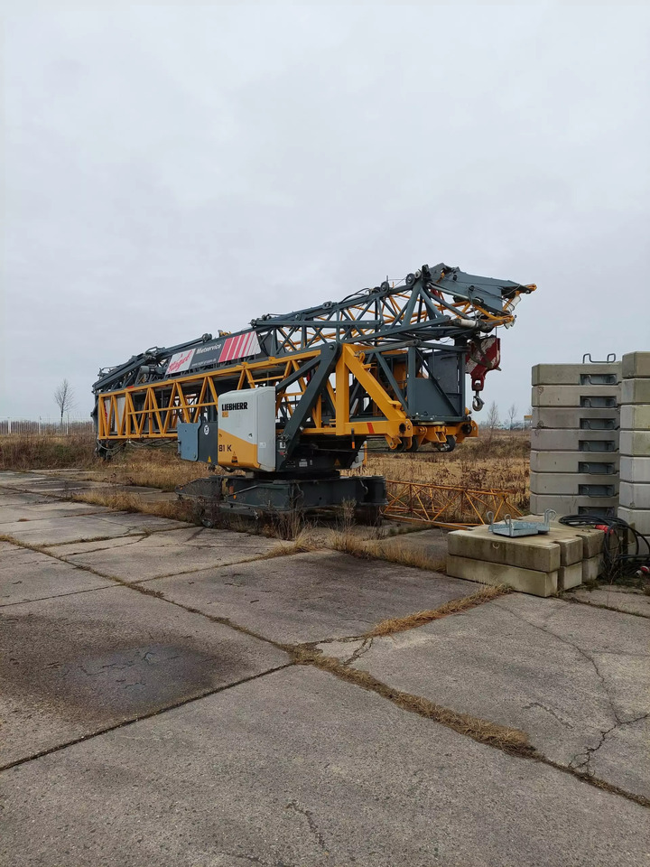 2011 Liebherr 81K - Кулски кран: слика 2 2011 Liebherr 81K - Кулски кран: слика 2